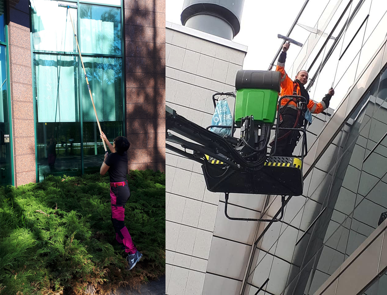 Kuva ikkunanpesijöistä